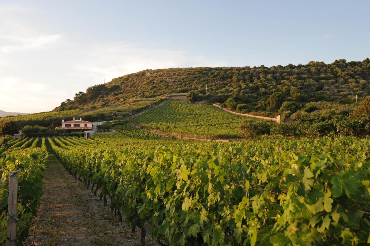 MagomadasCasa Nel Vigneto Con Vista Mare公寓 外观 照片